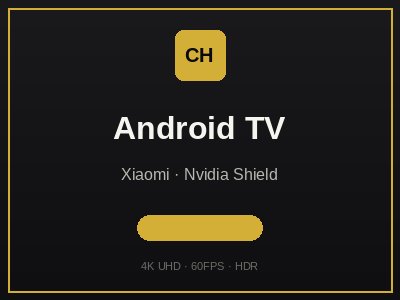 Android TV Box IPTV - Xiaomi Nvidia