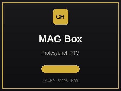 MAG Box IPTV - Profesyonel set-top box
